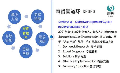 上海奇哲咨詢 企業管理咨詢的價值與核心作用解析